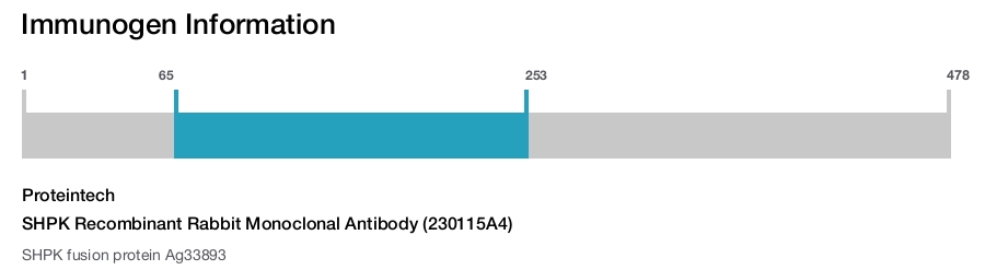 SHPK Recombinant Rabbit Monoclonal Antibody (230115A4)