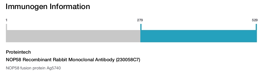 NOP58 Recombinant Rabbit Monoclonal Antibody (230058C7)