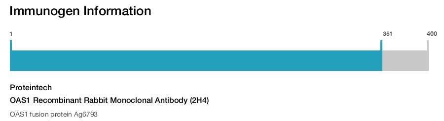 OAS1 Recombinant Rabbit Monoclonal Antibody (2H4)