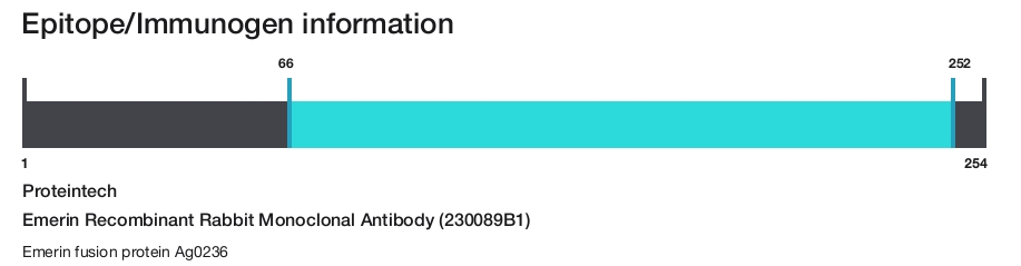 Emerin Recombinant Rabbit Monoclonal Antibody (230089B1)