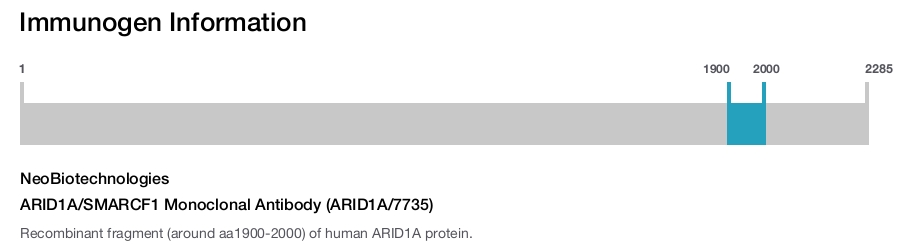 ARID1A/SMARCF1 Monoclonal Antibody (ARID1A/7735)