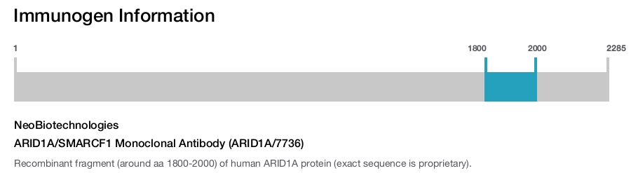 ARID1A/SMARCF1 Monoclonal Antibody (ARID1A/7736)