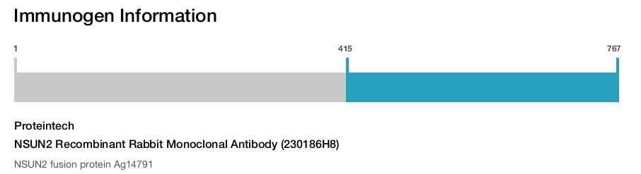 NSUN2 Recombinant Rabbit Monoclonal Antibody (230186H8)