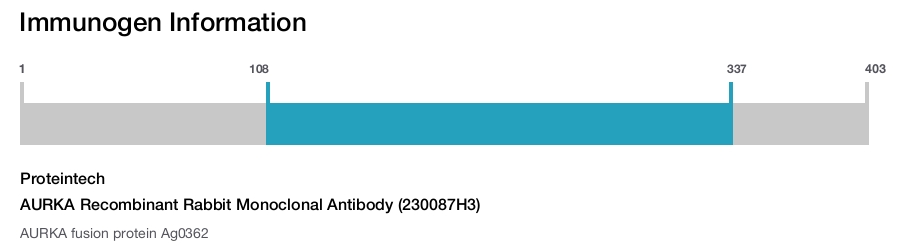 AURKA Recombinant Rabbit Monoclonal Antibody (230087H3)