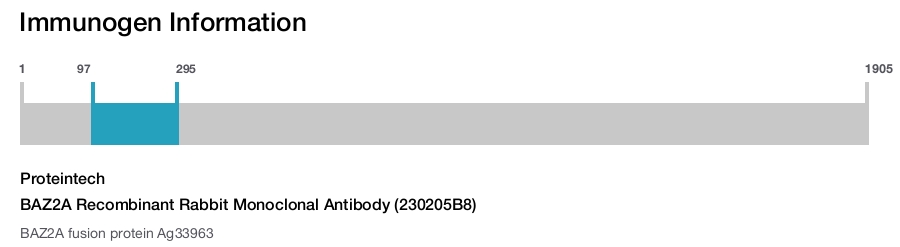 BAZ2A Recombinant Rabbit Monoclonal Antibody (230205B8)