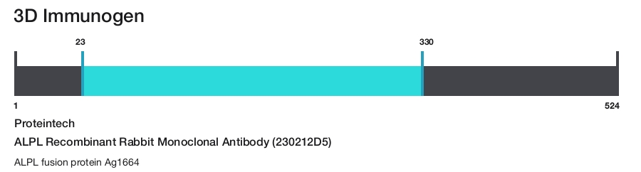 ALPL Recombinant Rabbit Monoclonal Antibody (230212D5)