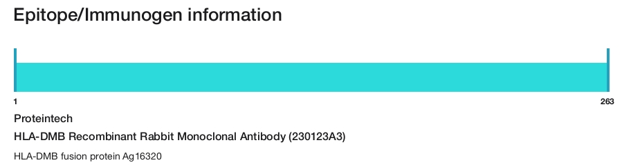 HLA-DMB Recombinant Rabbit Monoclonal Antibody (230123A3)