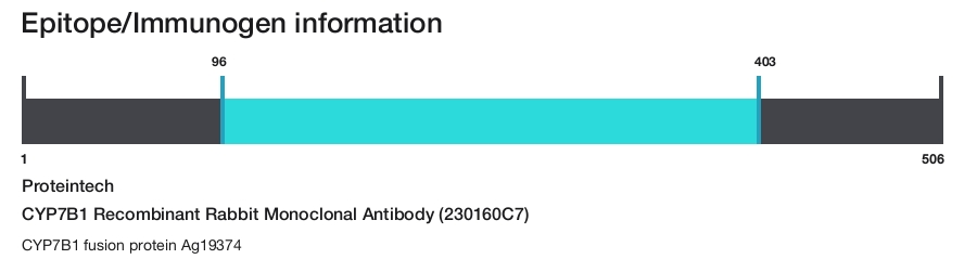 CYP7B1 Recombinant Rabbit Monoclonal Antibody (230160C7)