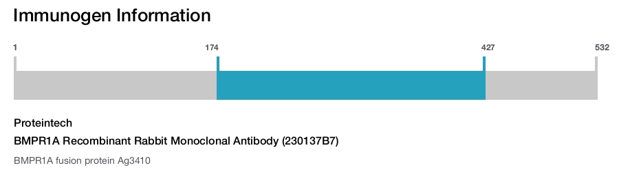 BMPR1A Recombinant Rabbit Monoclonal Antibody (230137B7)