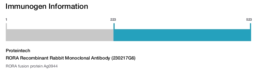 RORA Recombinant Rabbit Monoclonal Antibody (230217G6)