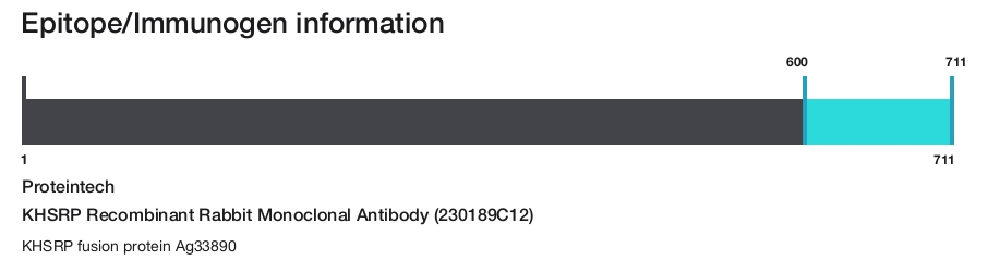 KHSRP Recombinant Rabbit Monoclonal Antibody (230189C12)