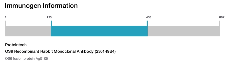 OS9 Recombinant Rabbit Monoclonal Antibody (230149B4)