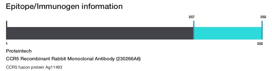 CCR5 Recombinant Rabbit Monoclonal Antibody (230266A6)