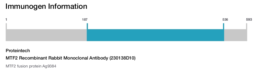 MTF2 Recombinant Rabbit Monoclonal Antibody (230138D10)