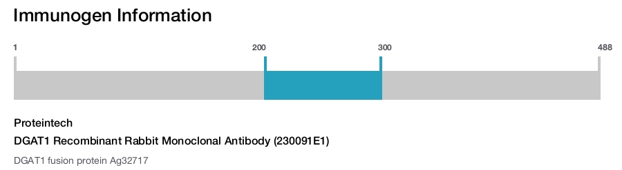 DGAT1 Recombinant Rabbit Monoclonal Antibody (230091E1)