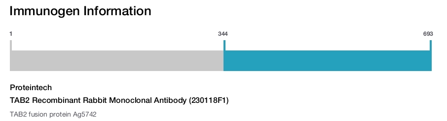 TAB2 Recombinant Rabbit Monoclonal Antibody (230118F1)