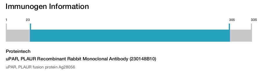 uPAR, PLAUR Recombinant Rabbit Monoclonal Antibody (230148B10)
