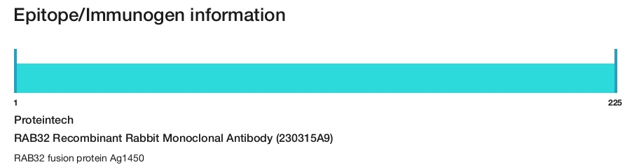 RAB32 Recombinant Rabbit Monoclonal Antibody (230315A9)