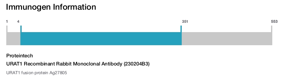 URAT1 Recombinant Rabbit Monoclonal Antibody (230204B3)