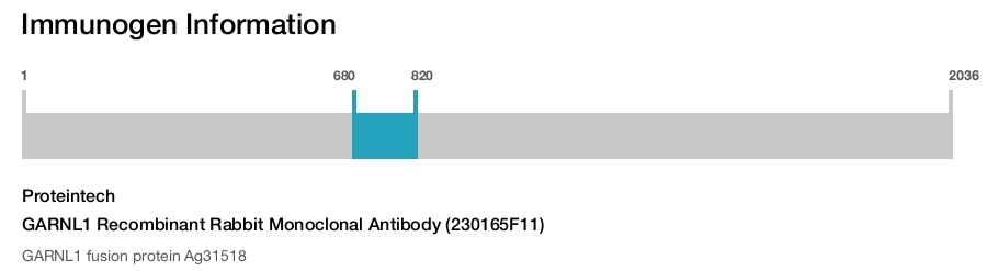 GARNL1 Recombinant Rabbit Monoclonal Antibody (230165F11)