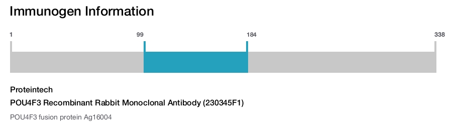 POU4F3 Recombinant Rabbit Monoclonal Antibody (230345F1)