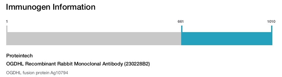 OGDHL Recombinant Rabbit Monoclonal Antibody (230228B2)