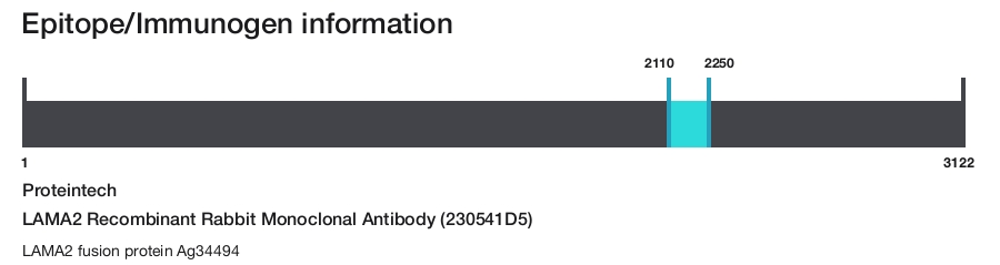 LAMA2 Recombinant Rabbit Monoclonal Antibody (230541D5)