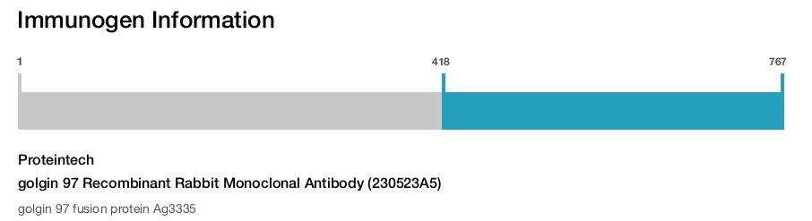 golgin 97 Recombinant Rabbit Monoclonal Antibody (230523A5)