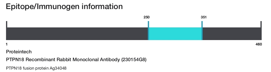 PTPN18 Recombinant Rabbit Monoclonal Antibody (230154G8)