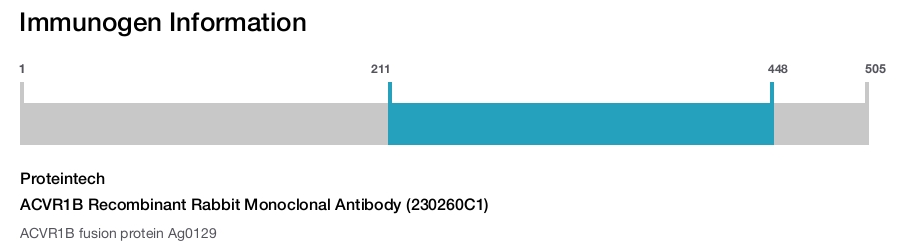 ACVR1B Recombinant Rabbit Monoclonal Antibody (230260C1)