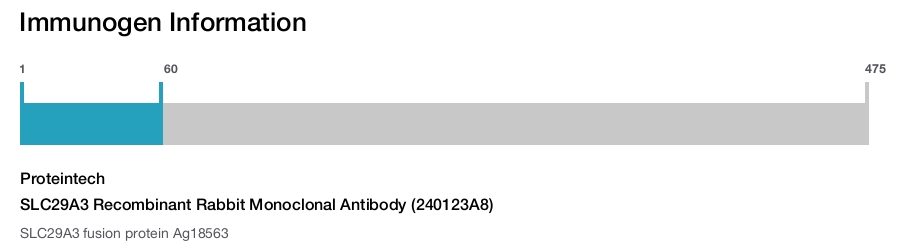 SLC29A3 Recombinant Rabbit Monoclonal Antibody (240123A8)