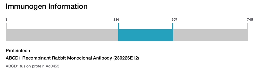 ABCD1 Recombinant Rabbit Monoclonal Antibody (230226E12)