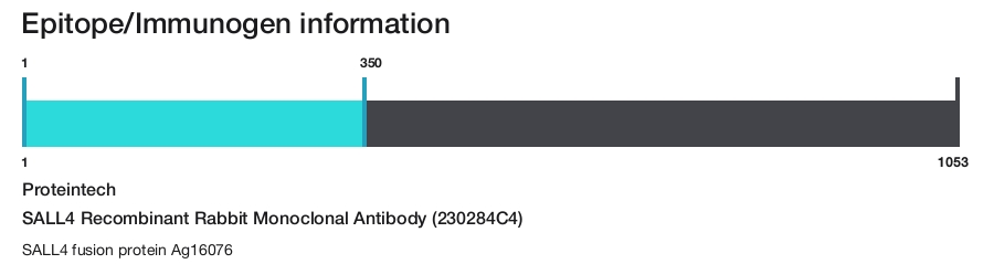 SALL4 Recombinant Rabbit Monoclonal Antibody (230284C4)
