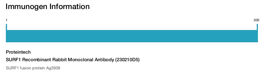 SURF1 Recombinant Rabbit Monoclonal Antibody (230210D5)