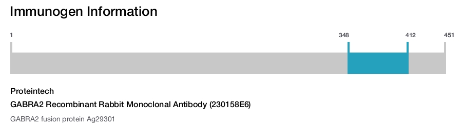 GABRA2 Recombinant Rabbit Monoclonal Antibody (230158E6)