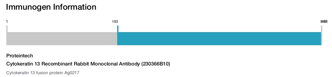 Cytokeratin 13 Recombinant Rabbit Monoclonal Antibody (230366B10)