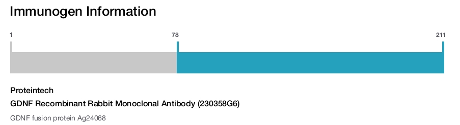 GDNF Recombinant Rabbit Monoclonal Antibody (230358G6)