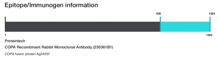COPA Recombinant Rabbit Monoclonal Antibody (230361B1)