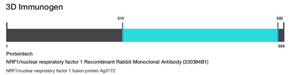 NRF1/nuclear respiratory factor 1 Recombinant Rabbit Monoclonal Antibody (230394B1)