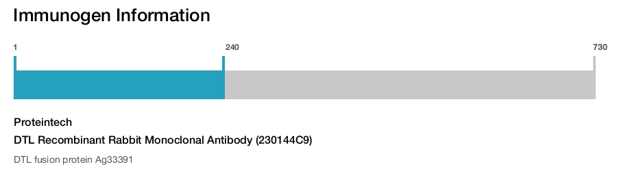 DTL Recombinant Rabbit Monoclonal Antibody (230144C9)
