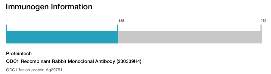 ODC1 Recombinant Rabbit Monoclonal Antibody (230339H4)