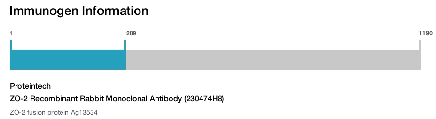 ZO-2 Recombinant Rabbit Monoclonal Antibody (230474H8)