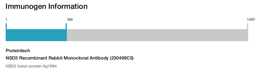NSD3 Recombinant Rabbit Monoclonal Antibody (230499C5)