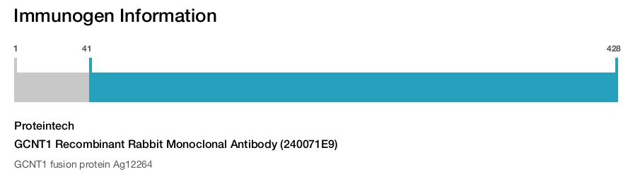 GCNT1 Recombinant Rabbit Monoclonal Antibody (240071E9)