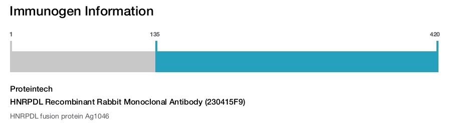 HNRPDL Recombinant Rabbit Monoclonal Antibody (230415F9)