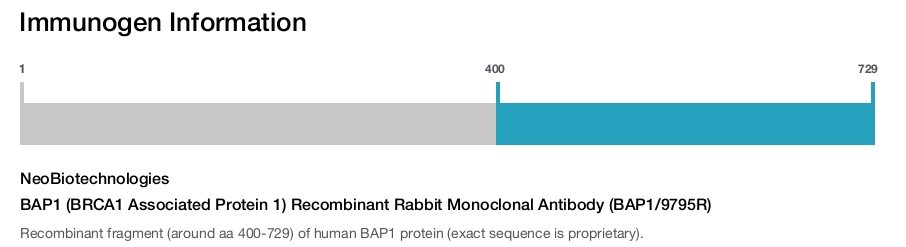 BAP1 (BRCA1 Associated Protein 1) Recombinant Rabbit Monoclonal Antibody (BAP1/9795R)
