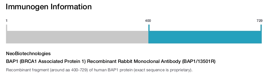 BAP1 (BRCA1 Associated Protein 1) Recombinant Rabbit Monoclonal Antibody (BAP1/13501R)