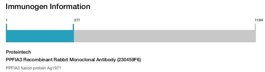 PPFIA3 Recombinant Rabbit Monoclonal Antibody (230459F6)