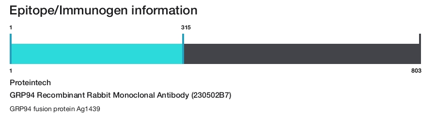 GRP94 Recombinant Rabbit Monoclonal Antibody (230502B7)