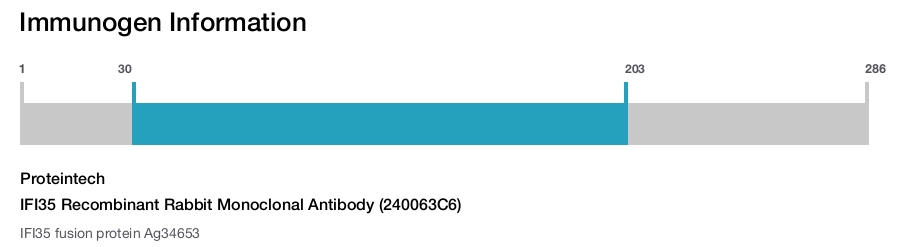 IFI35 Recombinant Rabbit Monoclonal Antibody (240063C6)